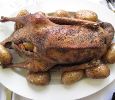 Christmas roast  goose with apples