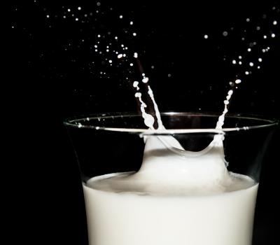 1 червня – Всесвітній день молока