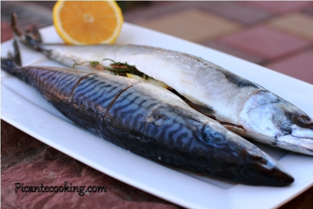 Grilled mackerel with herbs and lemon  - 1