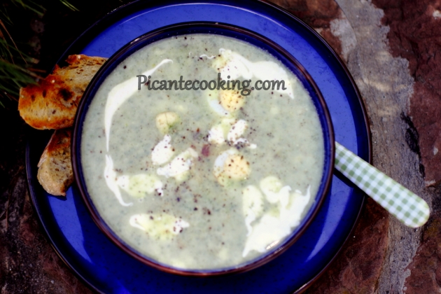 Zupa krem z młodej pokrzywy - 8