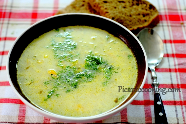 Огірковий суп (Zupa ogórkowa) - 6
