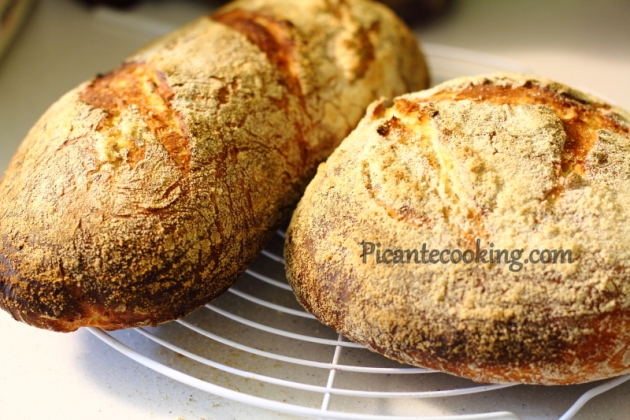 Chleb ziemniaczany z rozmarynem - 7