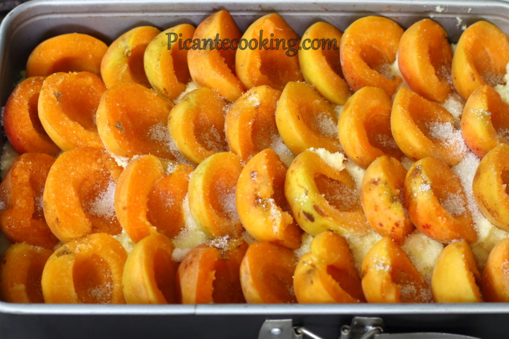 Сирний пляцок з абрикосами - 6