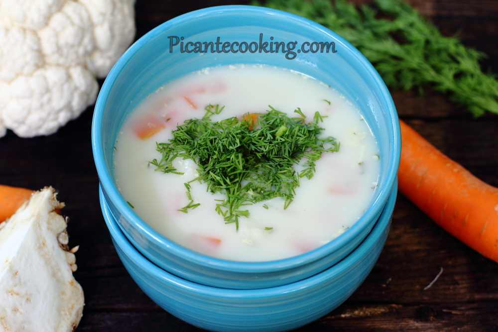 Дієтичний овочевий суп з кропом - 1