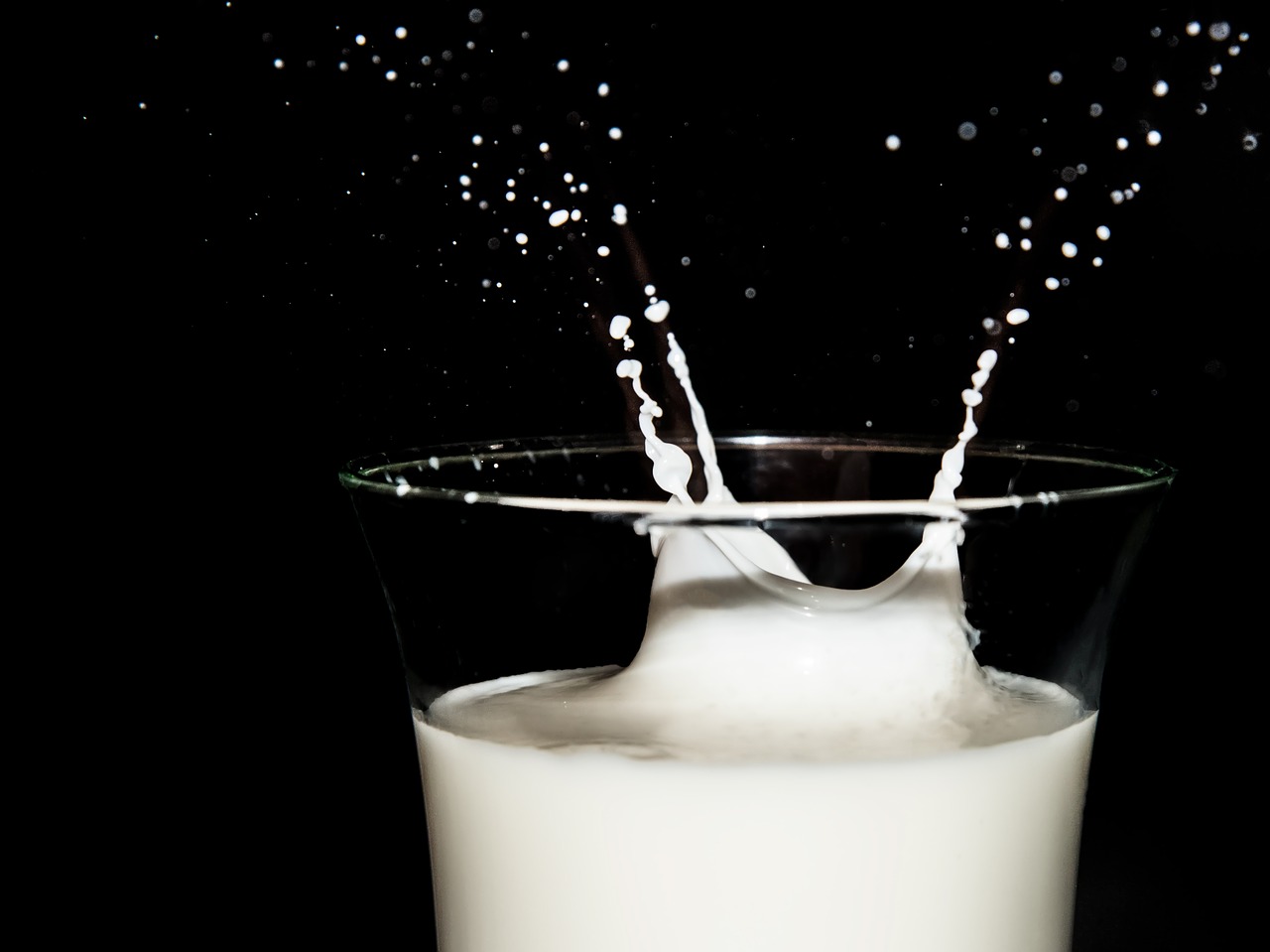 1 червня – Всесвітній день молока - 1