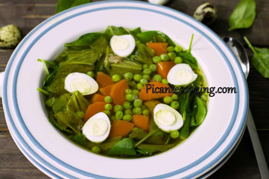 Зелений курячий суп - 1